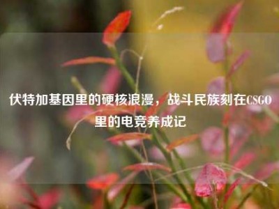 伏特加基因里的硬核浪漫，战斗民族刻在CSGO里的电竞养成记