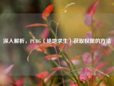 深入解析，PUBG（绝地求生）获取权限的方法