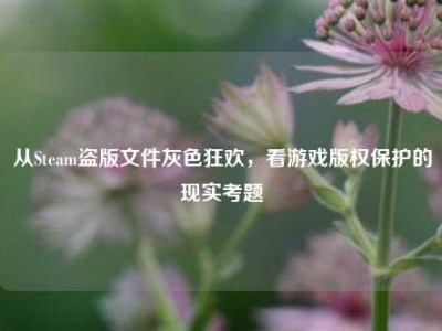 从Steam盗版文件灰色狂欢，看游戏版权保护的现实考题