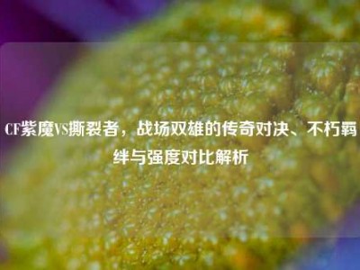 CF紫魔VS撕裂者，战场双雄的传奇对决、不朽羁绊与强度对比解析