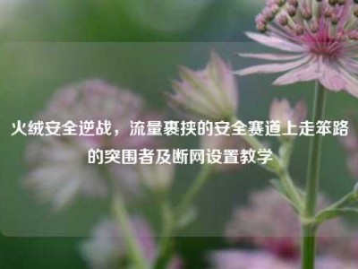 火绒安全逆战，流量裹挟的安全赛道上走笨路的突围者及断网设置教学