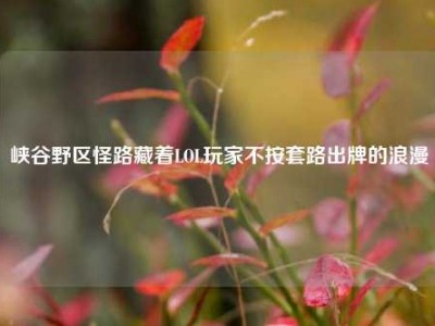 峡谷野区怪路藏着LOL玩家不按套路出牌的浪漫