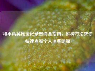 和平精英氪金记录查询全指南，多种方法教你快速查看个人消费明细