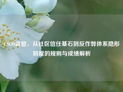 CSGO监管，从社区信任基石到反作弊体系隐形刻度的规则与成绩解析