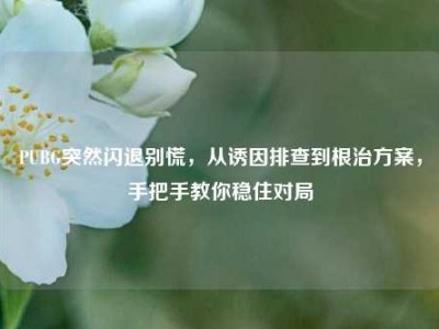 PUBG突然闪退别慌，从诱因排查到根治方案，手把手教你稳住对局