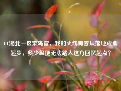 CF湖北一区菜鸟营，我的火线青春从落地成盒起步，多少级便无法踏入这方回忆起点？