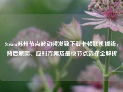 Steam苏州节点波动频发致下载卡顿联机掉线，背后原因、应对方案及最快节点选择全解析