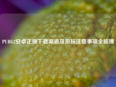 PUBG2安卓正规下载渠道及游玩注意事项全梳理
