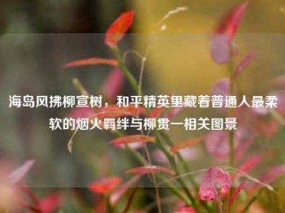 海岛风拂柳宣树，和平精英里藏着普通人最柔软的烟火羁绊与柳贯一相关图景