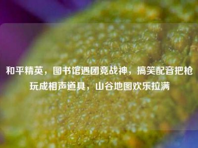 和平精英，图书馆遇团竞战神，搞笑配音把枪玩成相声道具，山谷地图欢乐拉满