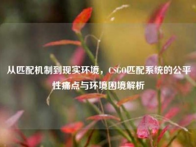 从匹配机制到现实环境，CSGO匹配系统的公平性痛点与环境困境解析