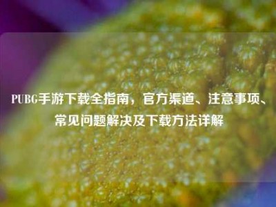 PUBG手游下载全指南，官方渠道、注意事项、常见问题解决及下载方法详解