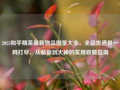 2025和平精英最新物品图鉴大全，全品类道具一网打尽，从萌新到大神的实用收藏指南