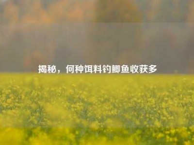 揭秘，何种饵料钓鲫鱼收获多