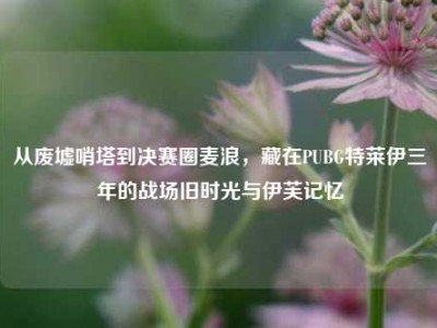 从废墟哨塔到决赛圈麦浪，藏在PUBG特莱伊三年的战场旧时光与伊芙记忆