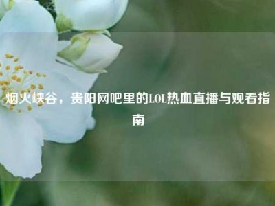 烟火峡谷，贵阳网吧里的LOL热血直播与观看指南