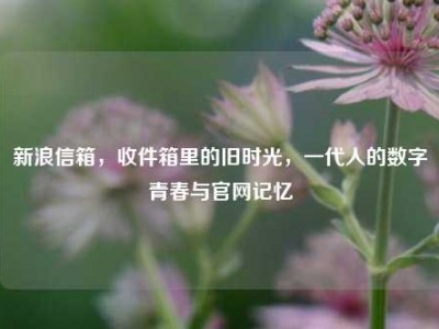 新浪信箱，收件箱里的旧时光，一代人的数字青春与官网记忆