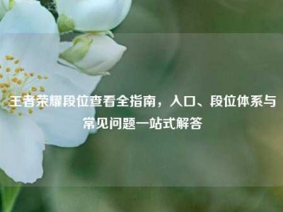 王者荣耀段位查看全指南，入口、段位体系与常见问题一站式解答