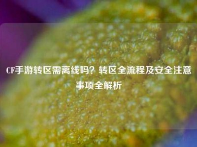 CF手游转区需离线吗？转区全流程及安全注意事项全解析