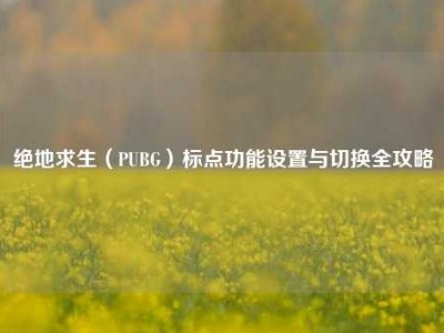 绝地求生（PUBG）标点功能设置与切换全攻略
