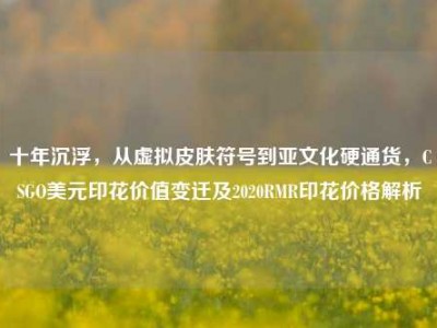 十年沉浮，从虚拟皮肤符号到亚文化硬通货，CSGO美元印花价值变迁及2020RMR印花价格解析