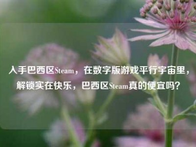入手巴西区Steam，在数字版游戏平行宇宙里，解锁实在快乐，巴西区Steam真的便宜吗？