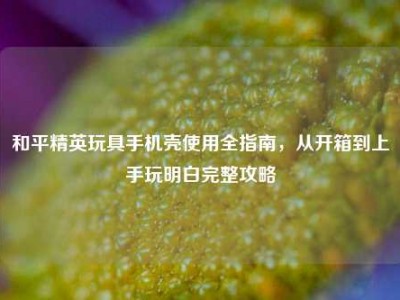 和平精英玩具手机壳使用全指南，从开箱到上手玩明白完整攻略