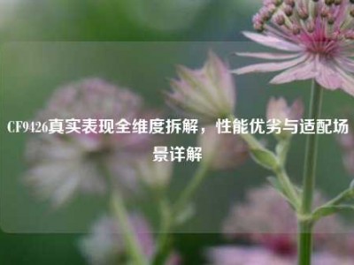 CF9426真实表现全维度拆解，性能优劣与适配场景详解
