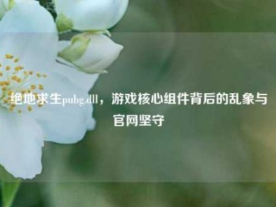 绝地求生pubg.dll，游戏核心组件背后的乱象与官网坚守