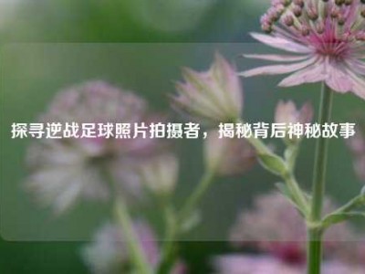探寻逆战足球照片拍摄者，揭秘背后神秘故事