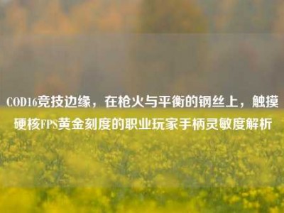 COD16竞技边缘，在枪火与平衡的钢丝上，触摸硬核FPS黄金刻度的职业玩家手柄灵敏度解析