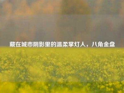 藏在城市阴影里的温柔掌灯人，八角金盘