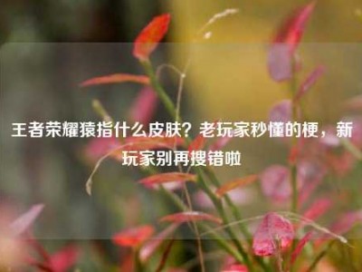 王者荣耀猿指什么皮肤？老玩家秒懂的梗，新玩家别再搜错啦