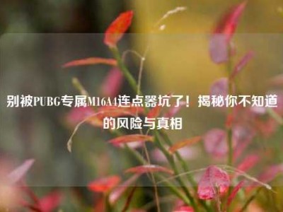 别被PUBG专属M16A4连点器坑了！揭秘你不知道的风险与真相