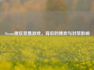 Steam俄区禁售游戏，背后的博弈与封禁影响