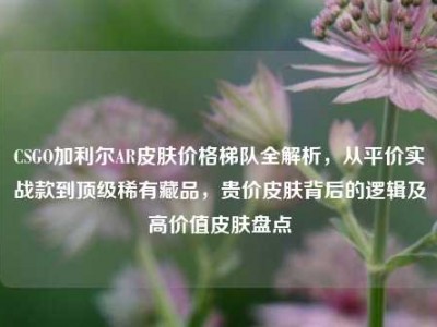 CSGO加利尔AR皮肤价格梯队全解析，从平价实战款到顶级稀有藏品，贵价皮肤背后的逻辑及高价值皮肤盘点
