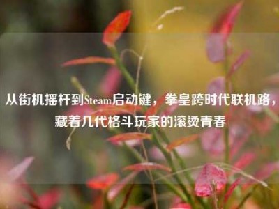 从街机摇杆到Steam启动键，拳皇跨时代联机路，藏着几代格斗玩家的滚烫青春