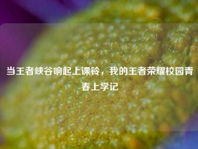 当王者峡谷响起上课铃，我的王者荣耀校园青春上学记