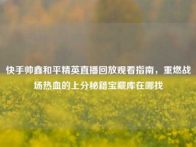 快手帅鑫和平精英直播回放观看指南，重燃战场热血的上分秘籍宝藏库在哪找