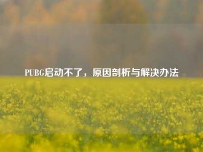 PUBG启动不了，原因剖析与解决办法