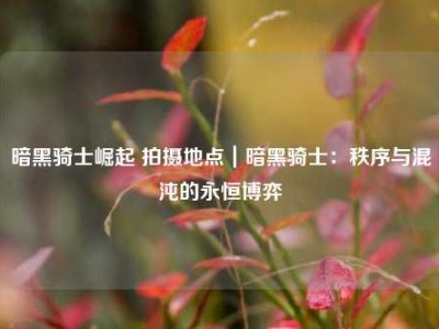 暗黑骑士崛起 拍摄地点｜暗黑骑士：秩序与混沌的永恒博弈