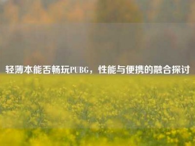 轻薄本能否畅玩PUBG，性能与便携的融合探讨