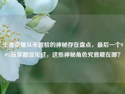 王者荣耀从未露脸的神秘存在盘点，最后一个90%玩家都没见过，这些神秘角色究竟藏在哪？