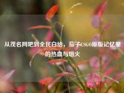 从茂名网吧到全民白给，茄子CSGO原版记忆里的热血与烟火