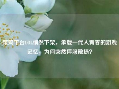 菜鸡平台LOL悄然下架，承载一代人青春的游戏记忆，为何突然停服散场？