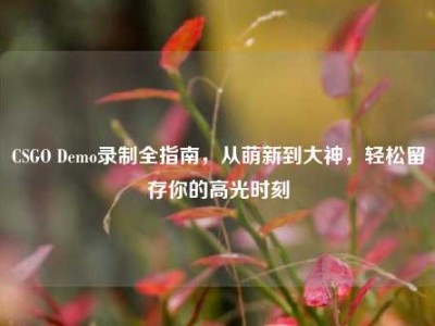 CSGO Demo录制全指南，从萌新到大神，轻松留存你的高光时刻