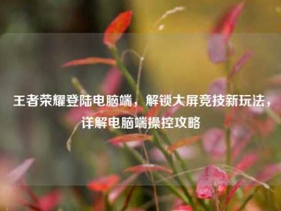 王者荣耀登陆电脑端，解锁大屏竞技新玩法，详解电脑端操控攻略