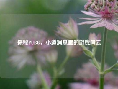 探秘PUBG，小道消息里的游戏风云