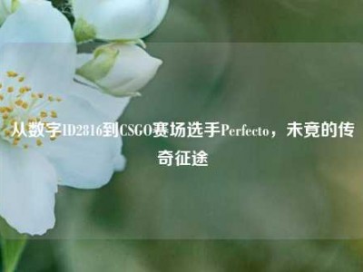 从数字ID2816到CSGO赛场选手Perfecto，未竟的传奇征途