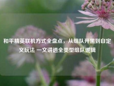 和平精英联机方式全盘点，从组队开黑到自定义玩法 一文讲透全类型组队逻辑